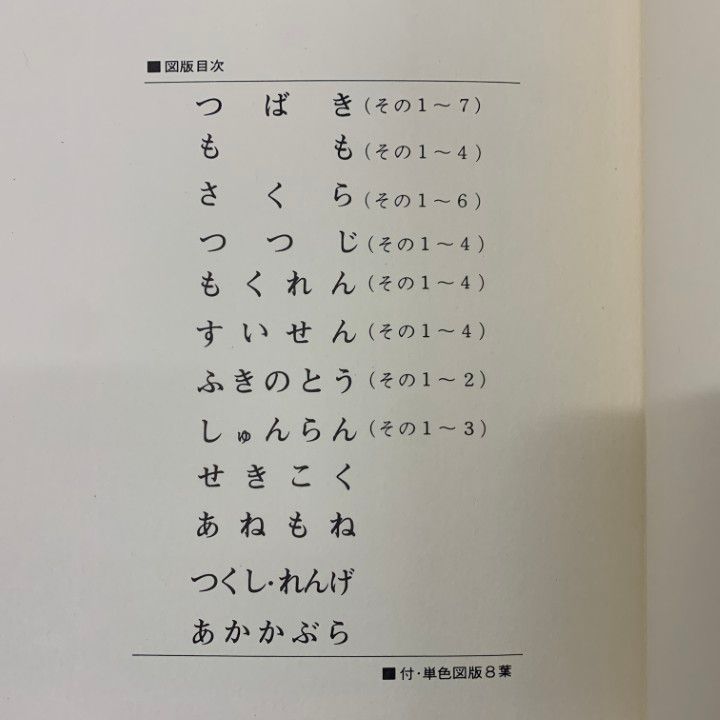【史上最も激安】 □02)【同梱不可】四季草花写生図 全10巻揃セット/川浪養治/美乃 アート+エンタメ