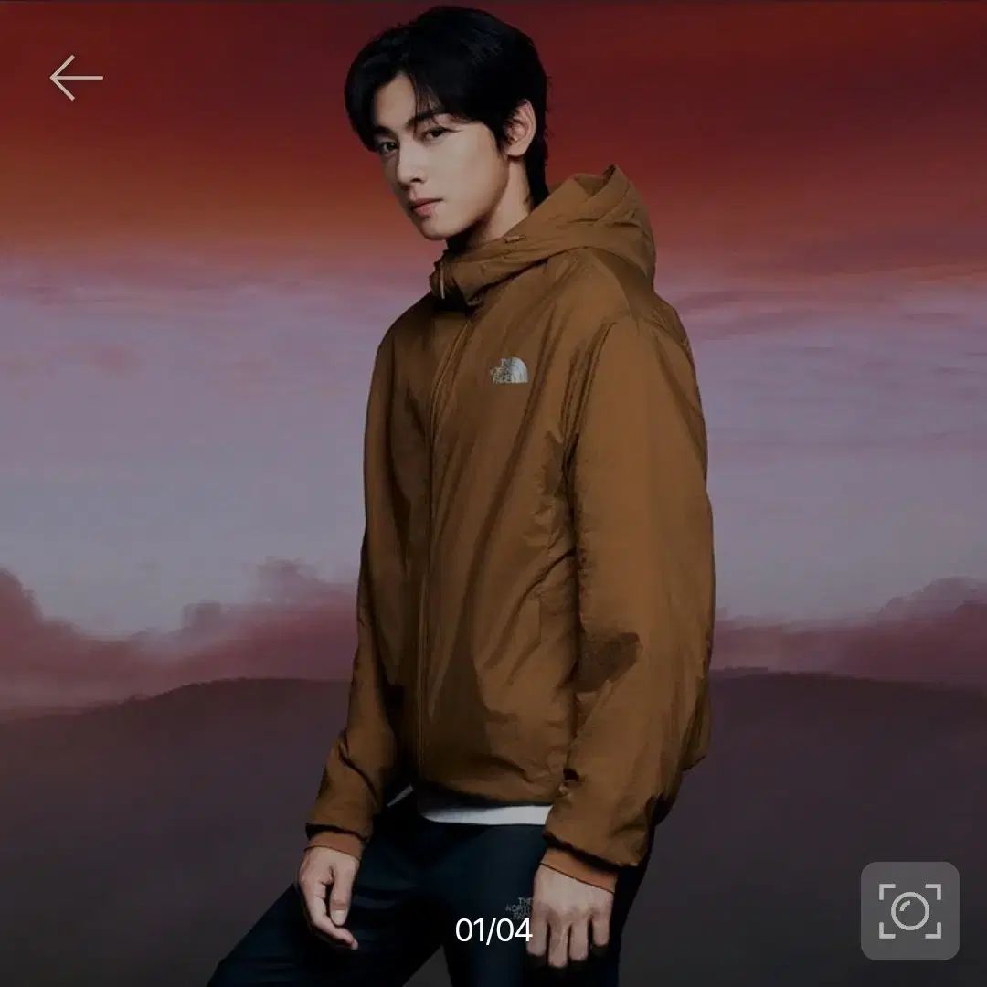 THE NORTH FACE ザ ノース フェイス Felix ヒット フーディー パーカー XL