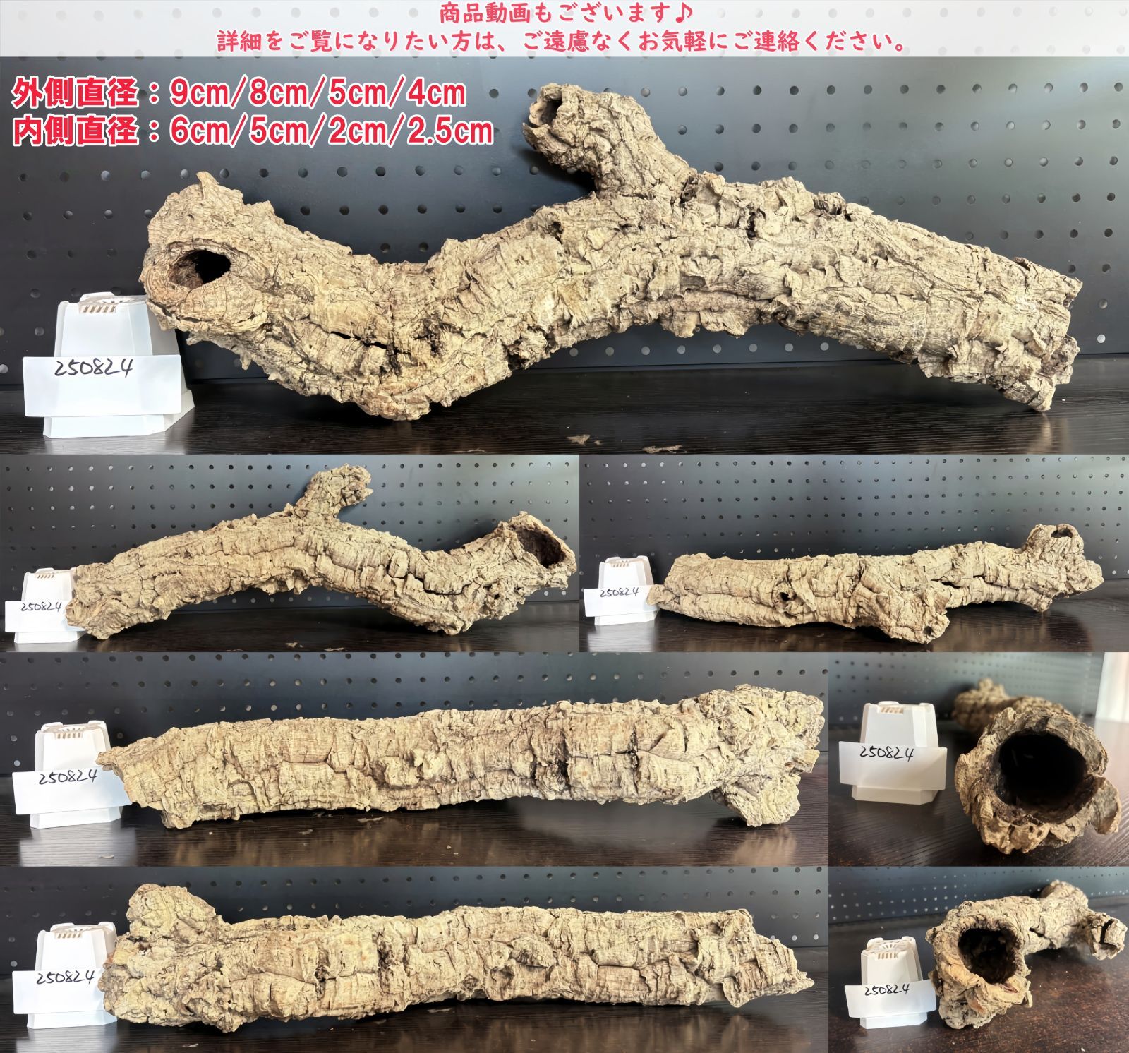 250820 ポルトガル産 キャノンコルク コルク樹皮コルク板　バージンコルク 250820 ポルトガル産 キャノンコルク コルク樹皮コルク板