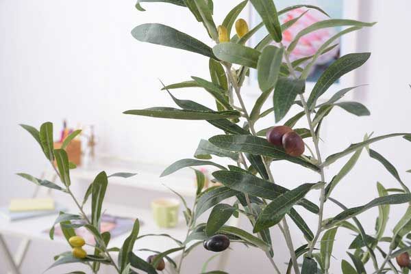 フェイクグリーン 人工観葉植物 No.17 約W44×D44×H152cm オリーブ STEELWINDOWSANDDOORS_COM