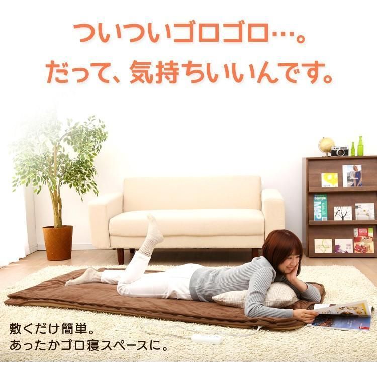 ダニ退治 節電