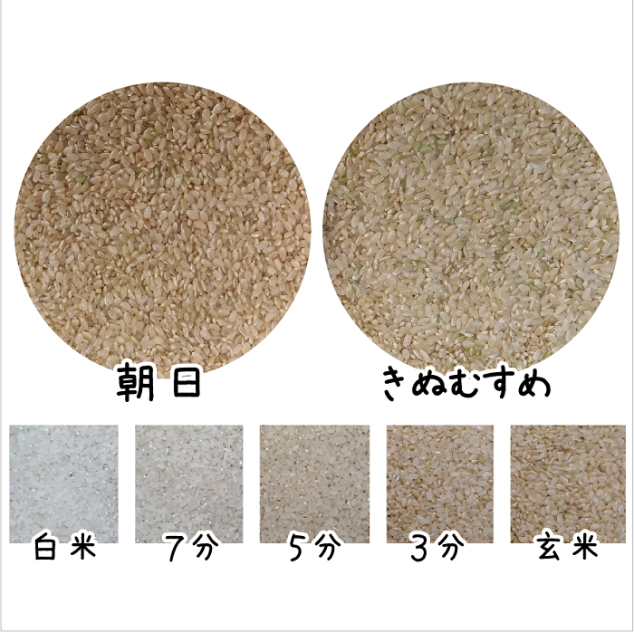 令和3年 新米 減農薬 １等米 岡山県エコファーマー 特Ａ【きぬむすめ