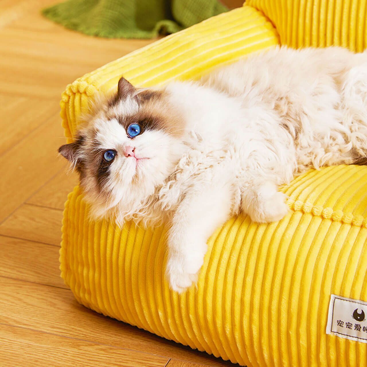 ペット用品 猫