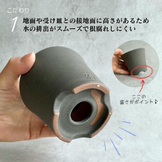 種類3 5号