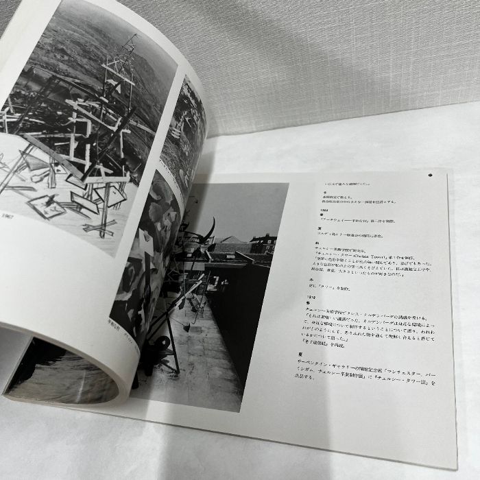 DAVID NASH 樹のいのち 樹のかたち デイヴィッド・ナッシュ 1984