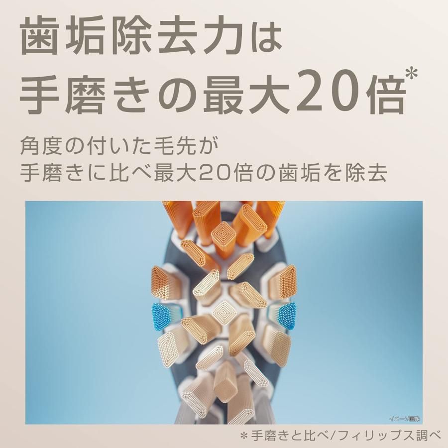 替えブラシ 歯垢除去
