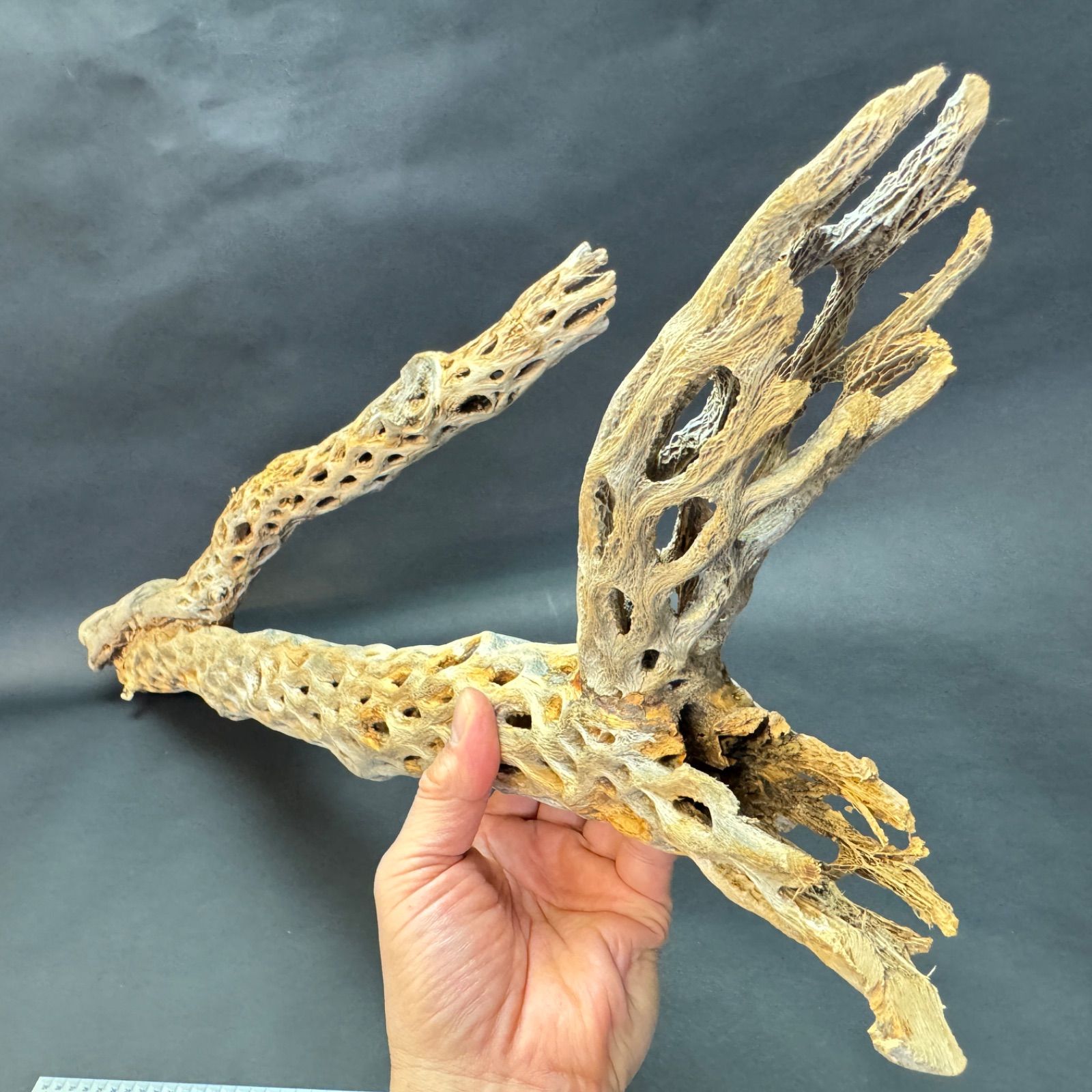約 長さ86cm×最大幅27cm×最大φ9.5cm＊