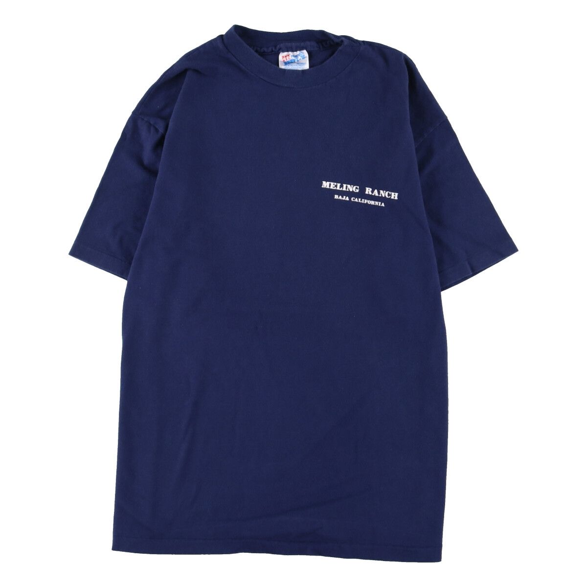 古着 90年代 ヘインズ Hanes BEEFY-T 青タグ 両面プリント プリントT 