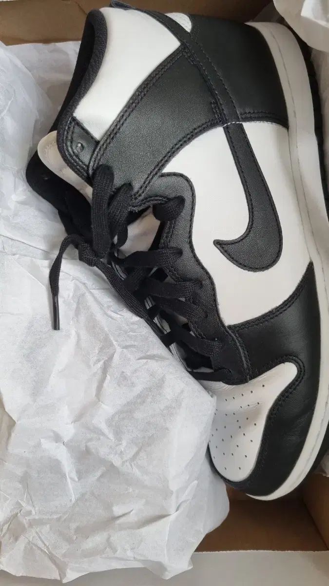 楽天市場】体育館シューズ アシックスの通販 アシックス リーブル 室内