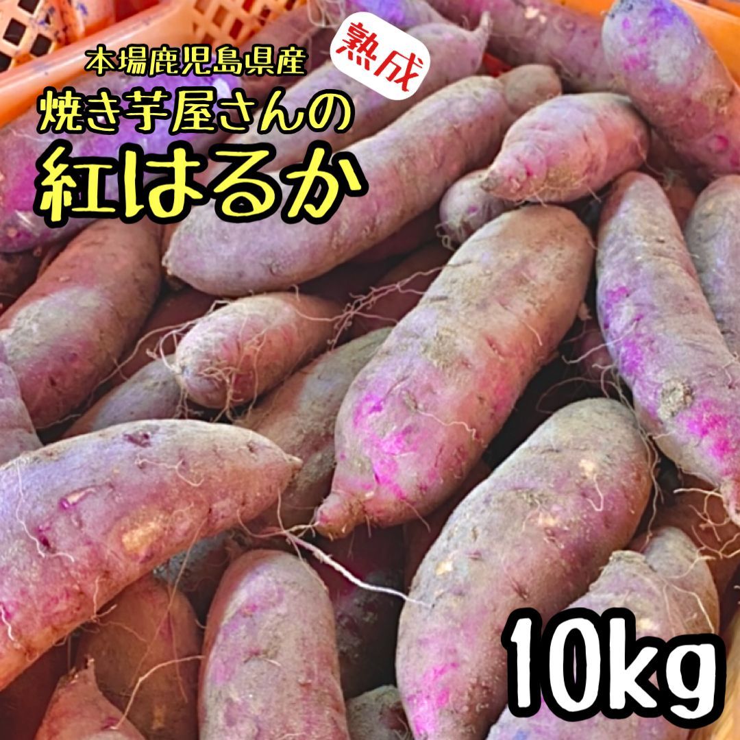 種子島産安納芋 おやつサイズ2kgパック さつまいも 焼き芋に 紅はるか