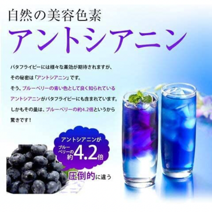 \  青いお茶💙 ‪/  眼精疲労を軽減する！体が喜ぶ！飲む日焼け止め！アントシアニン！バタフライピー 10包×2袋  1包で1L～2L❣️ 水だしOK！ノンカフェイン さらにクーポンあります❣️訳ありミントバタフライピーも選べます！