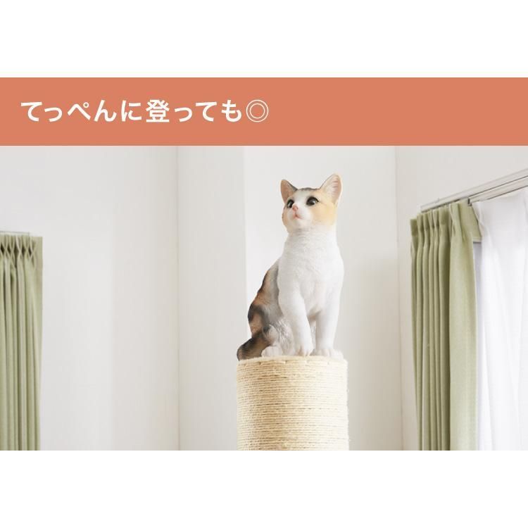 ポール 猫