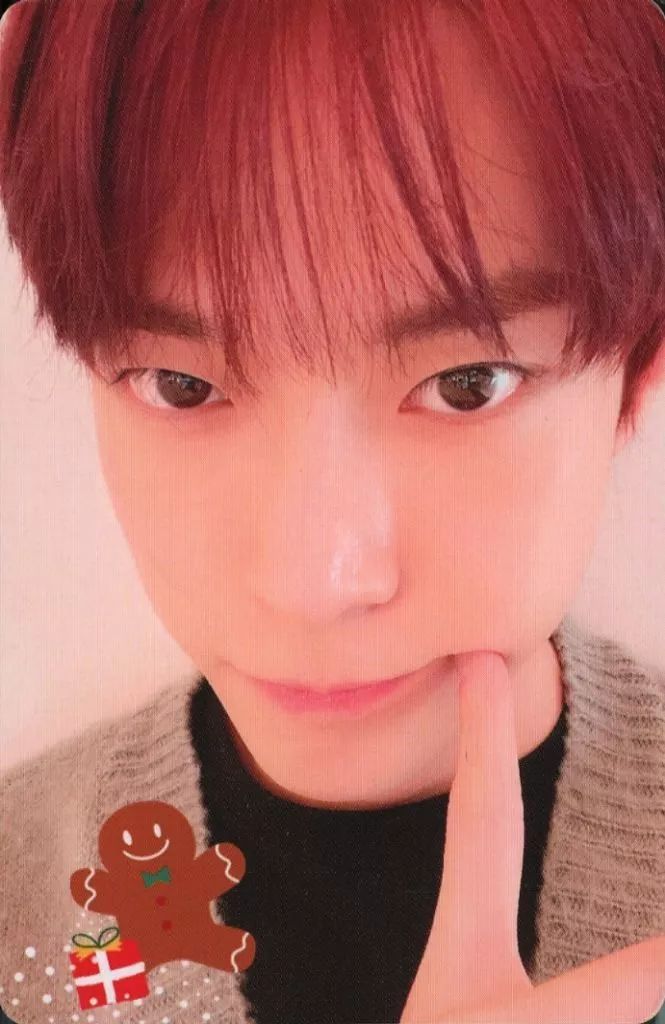 NCT 127 ドヨン Doyoung トレカ 中古】コレクションカード(男性) NCT 127/ドヨン(DOYOUNG)/ツリー