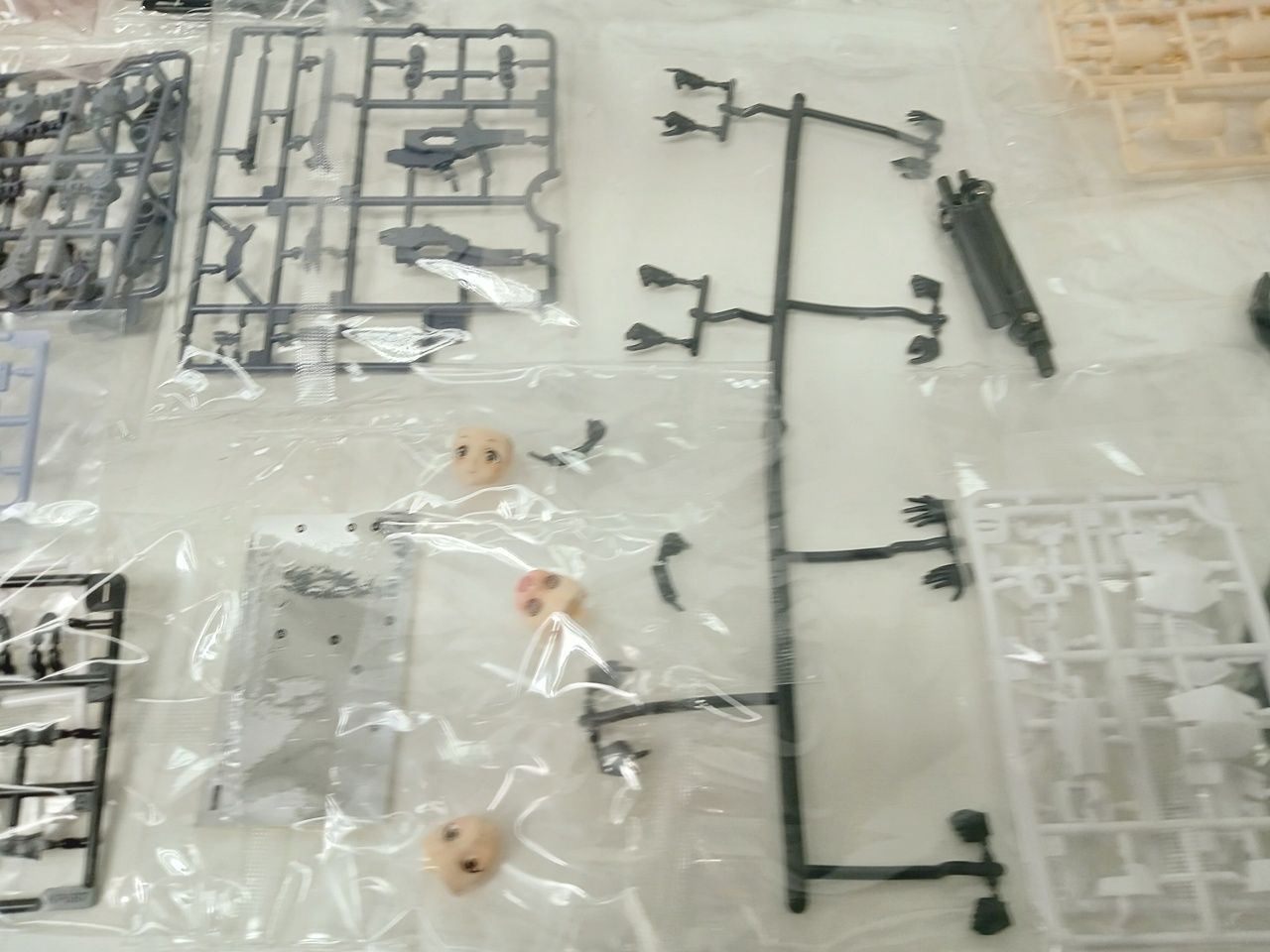 特典付き 未組立品