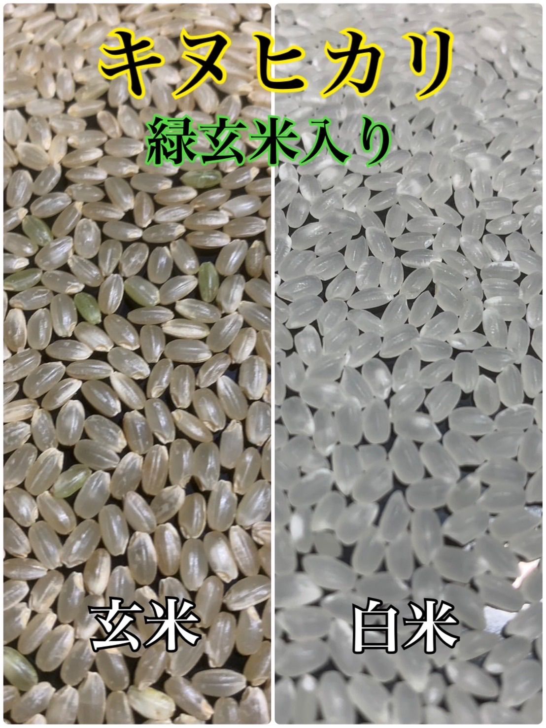令和7年産】淡路島産 キヌヒカリ玄米 30kg 送料無料 - メルカリ