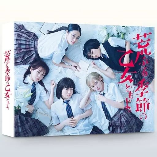 俺たちの旅 青春アンソロジー DVD-BOXⅠ、BOXⅡ 俺たちの旅 青春