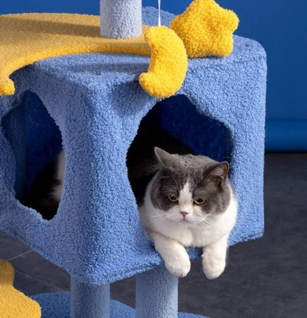 大型猫 おもちゃ
