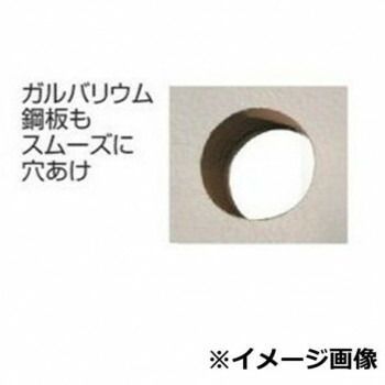 セレクト ガルバウッドコアSDSシャンク 65 SE47491 HRDEVELOPMENT_JP