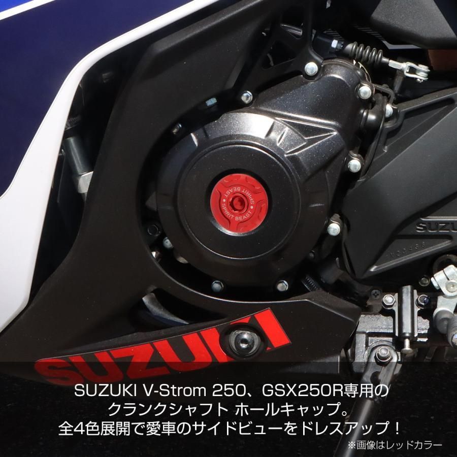 スズキ車用 Vストローム250 DL250 DS11A GSX250R DN11A クランクケース