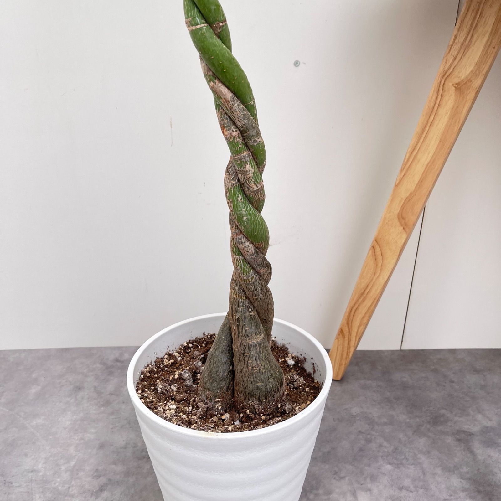 ねじり 8
