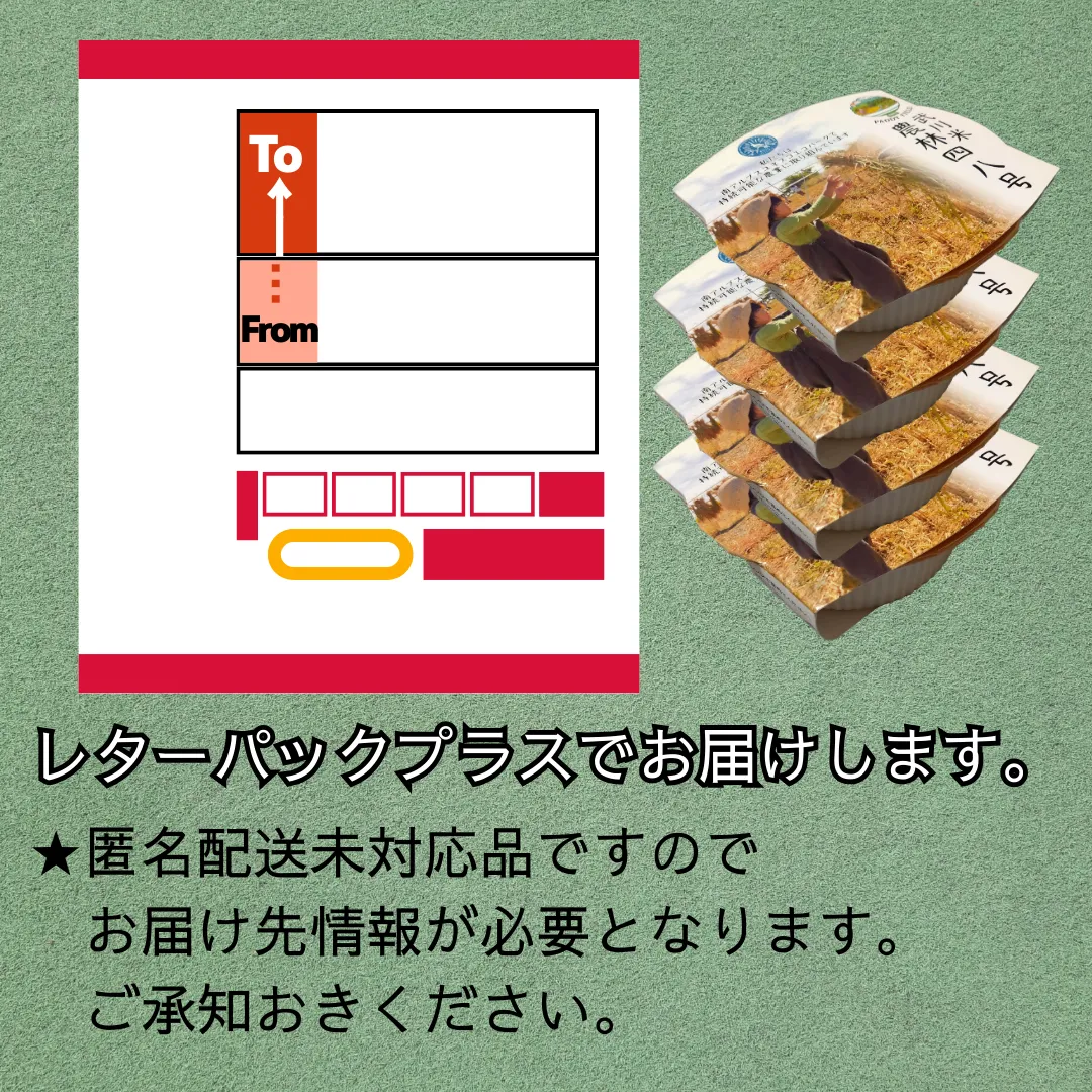 武川米農林48号（白米）パックご飯4個入り