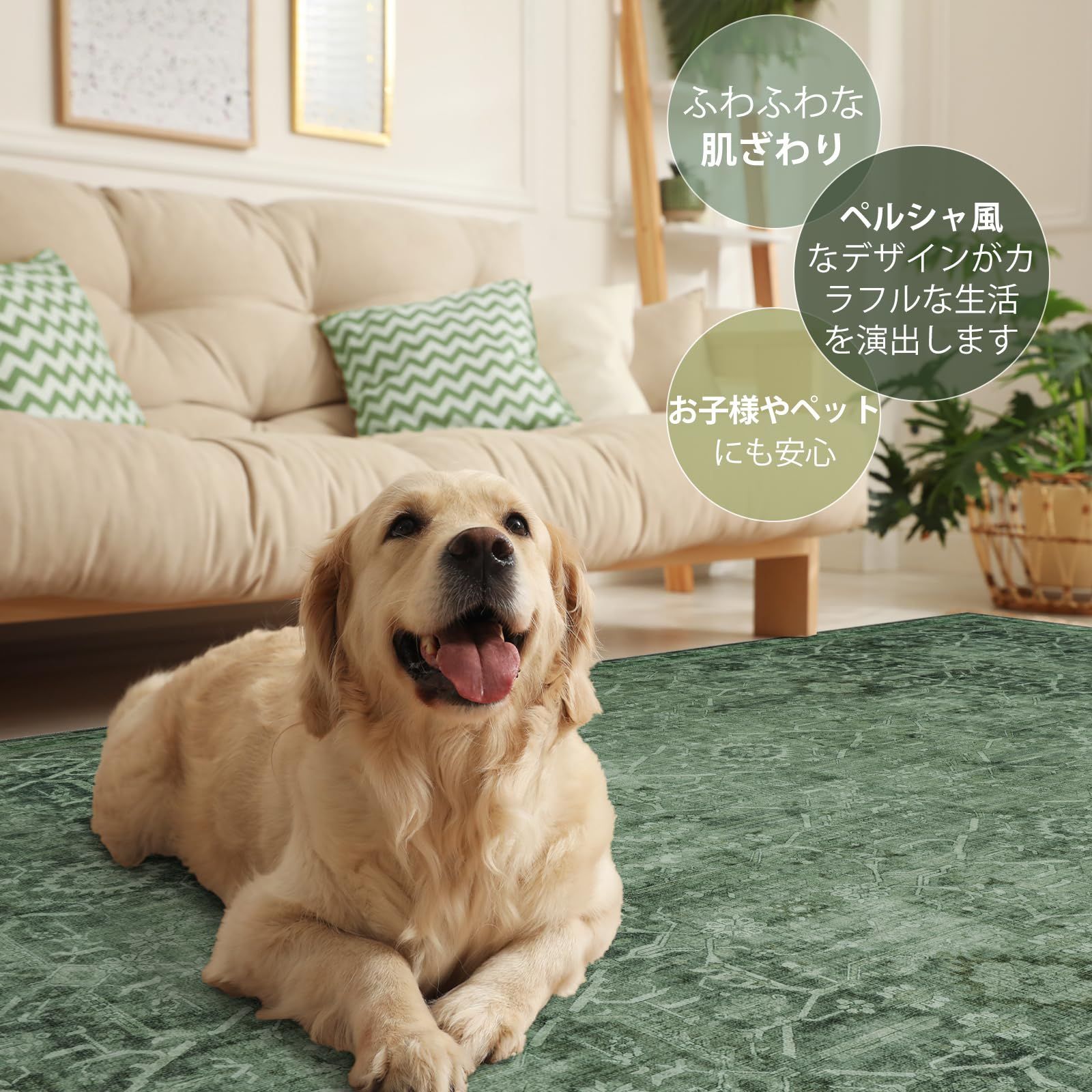 HAOCOO カーペット