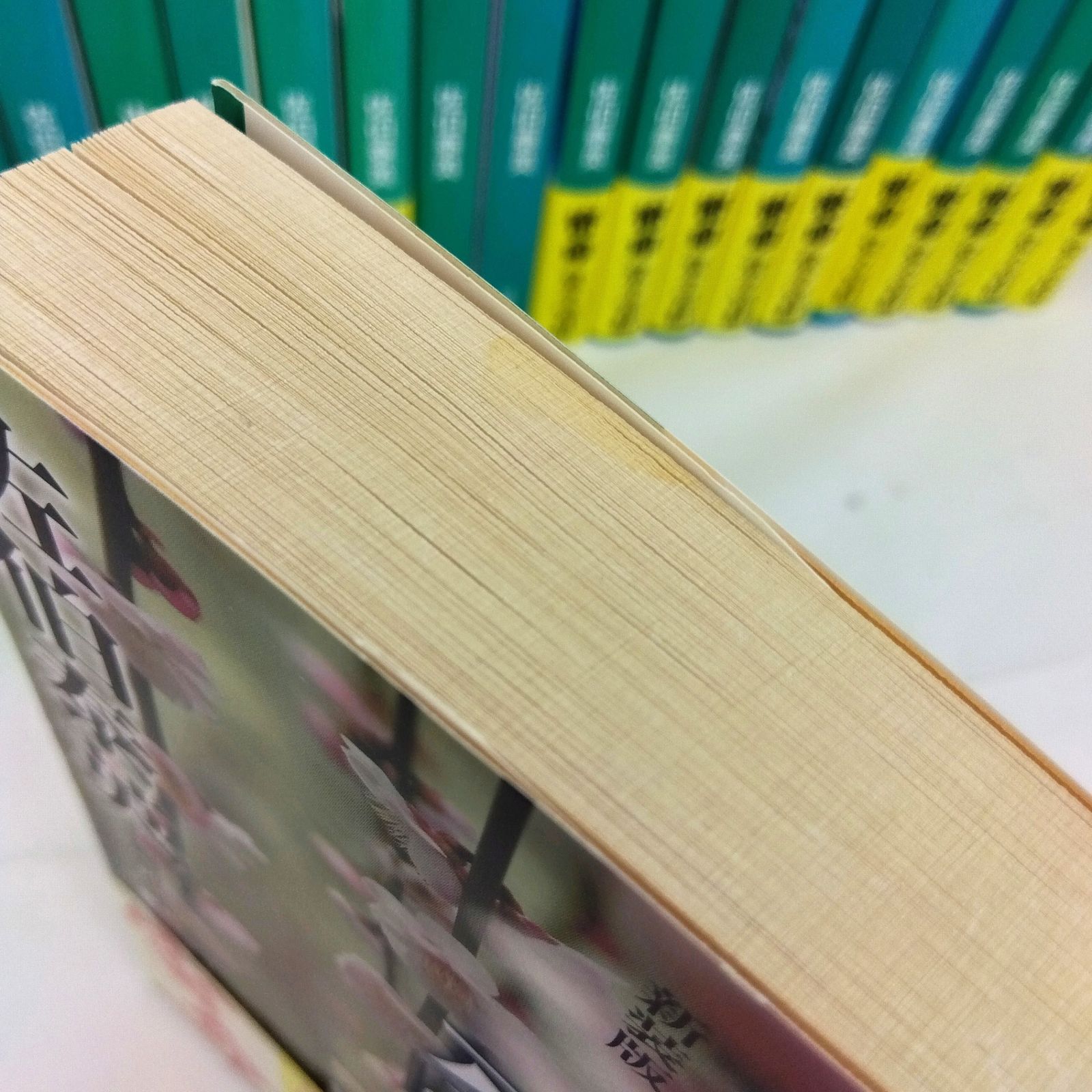 全巻】密命シリーズ 佐伯泰英 長編時代小説 全巻26冊 文庫セット