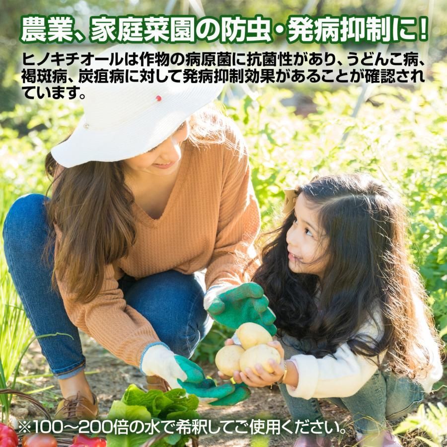 べニーズ