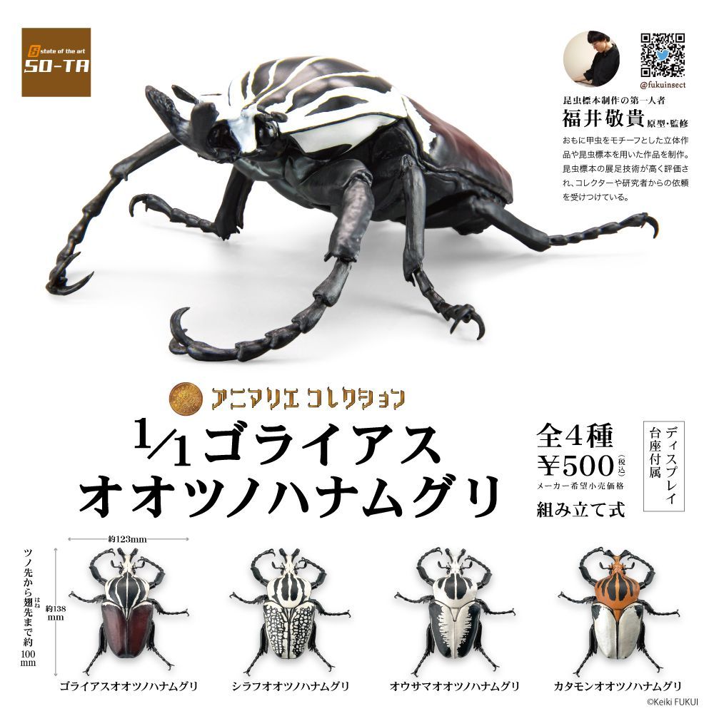 標本/ゴライアスオオツノハナムグリ/ゴライアスオリエンタリス/フィギュア付 SO-TAアニマリエ コレクション 1/1 ゴライアス オオツノ ハナムグリ