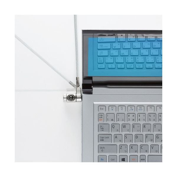 サンワサプライスロットマルチ対応セキュリティワイヤー シリンダ錠 標準 NobleWedge NanoSaver対応 SL-89 1個 CHRISTIANNAURATH_COM_BR