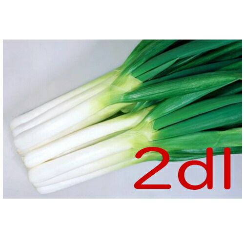 入荷次第出荷 カネコ種苗 ＳＵＫＩＹＡＫＩ葱 ２ｄｌ