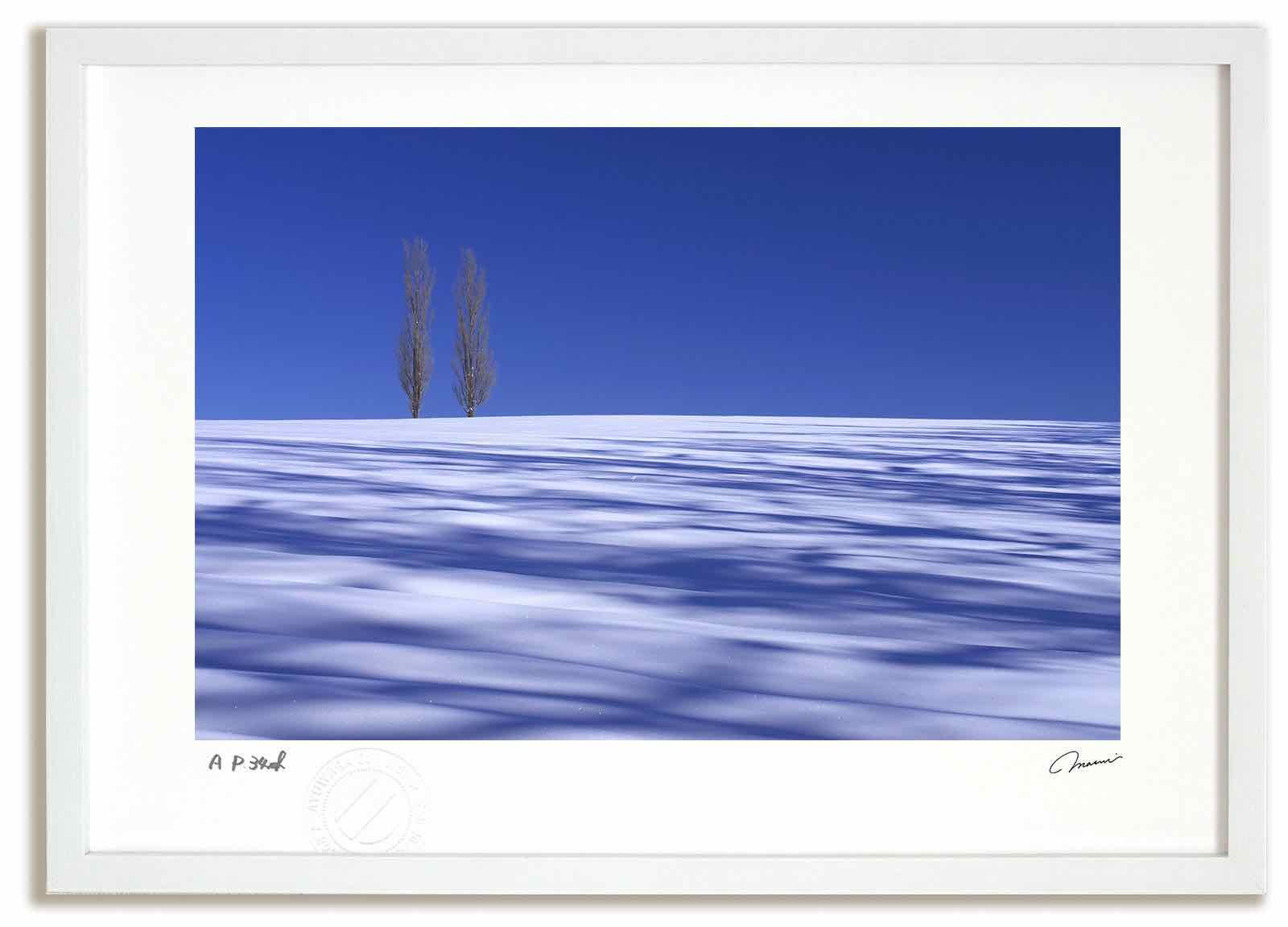 アートフォト 絵画 ポプラと蒼い影5 高橋真澄|インテリア 額入り 額装込 風景画 油絵 ポスター アート アートパネル リビング 玄関 プレゼント モダン アートフレーム 飾る Mサイズ おしゃれ 壁掛け 絵