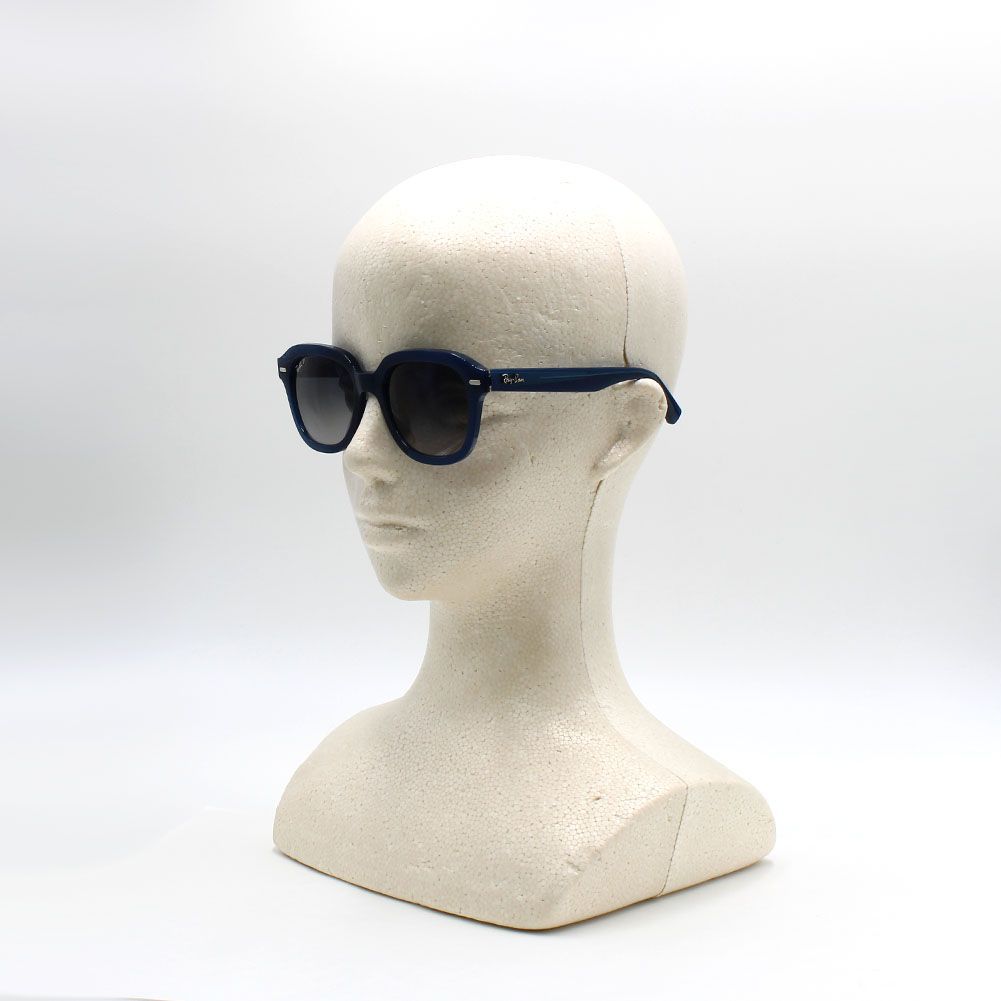 レイバン Ray Ban ERIK RB4398F 667678 53 サングラス エリック