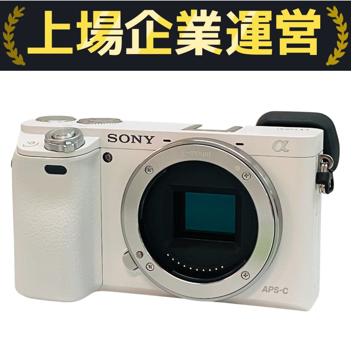 SONY a6000 パワーズームレンズ ホワイト ソニー、0.06秒高速AFを実現