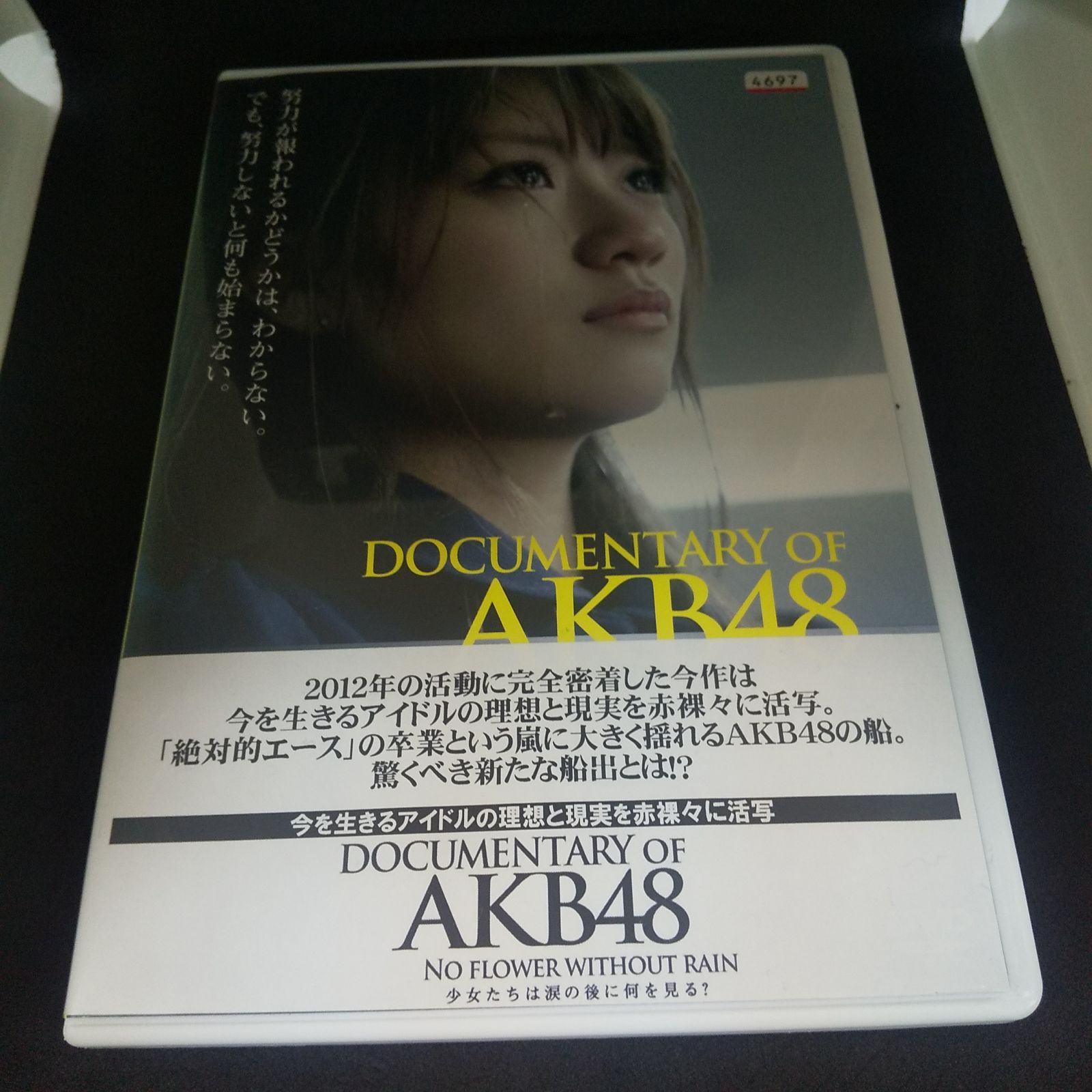 DOCUMENTARY OF AKB48 NO FLOWER WITHOUT RAIN 少女たちは涙に後に何を見る？　レンタル専用　中古　DVD　 ケース付き