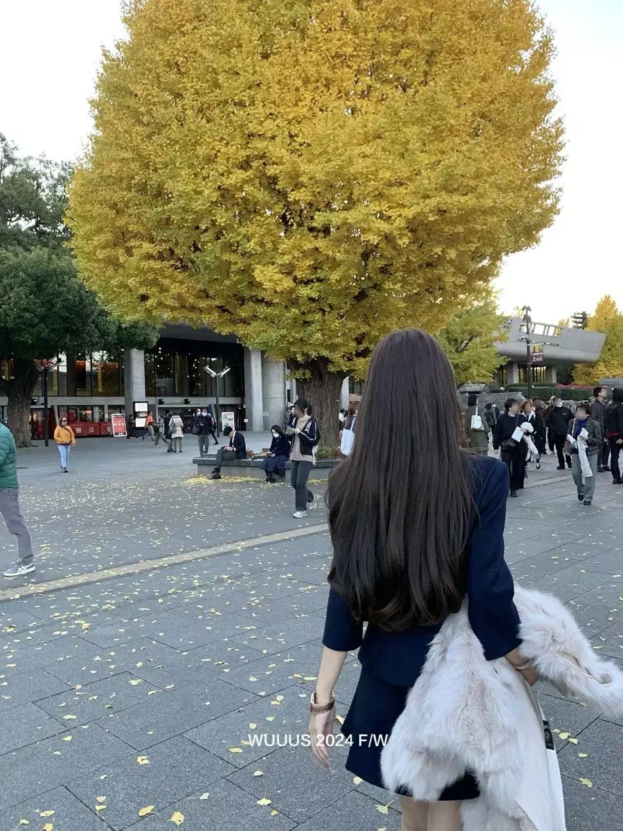 ハイカット