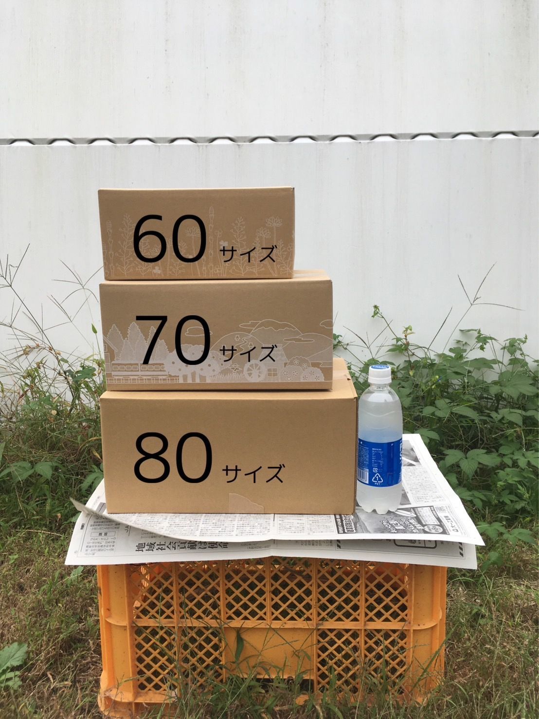 新鮮！旬の野菜セット(初夏)80size 栽培期間中農薬・化学肥料不使用