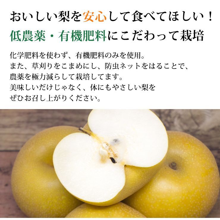 予約 10月上旬出荷予定】秀品 大門梨 低農薬 有機栽培 新高 10kg 富山