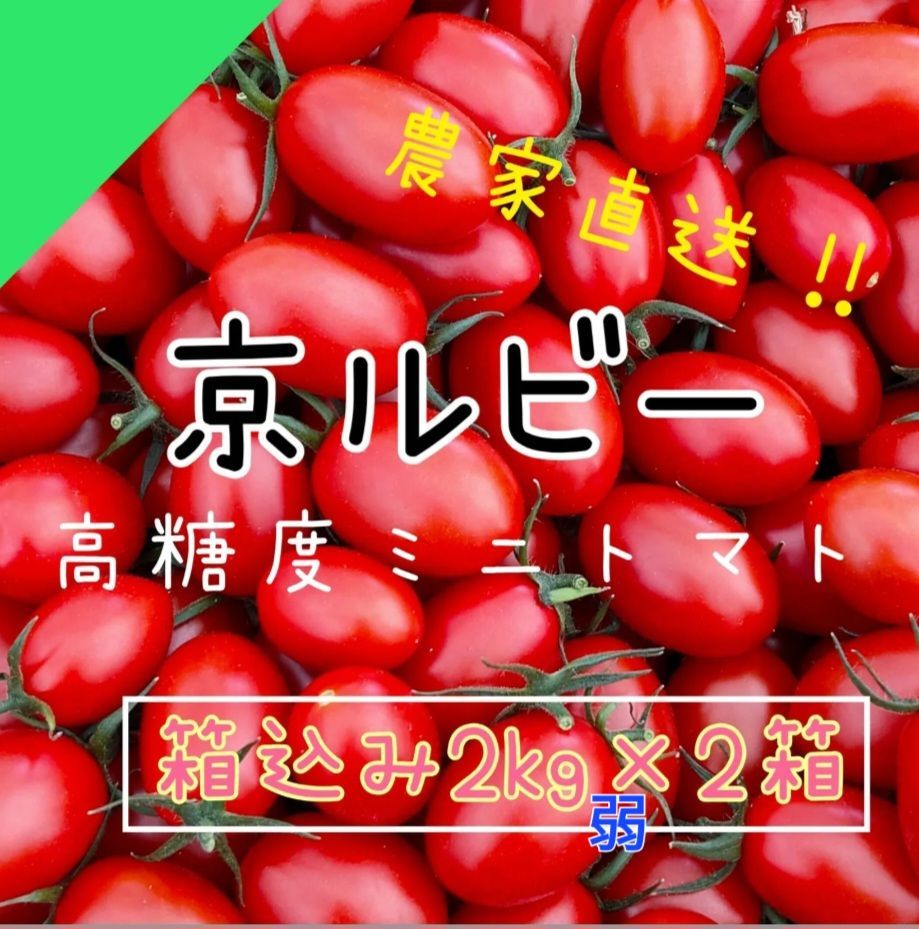 2枚で送料無料 高糖度フルーツトマト 4kg - 通販