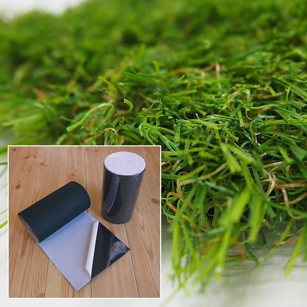 しの Anti Extra Life Club 缶バッジ 高品質 第5弾 28点 かなめ Anti