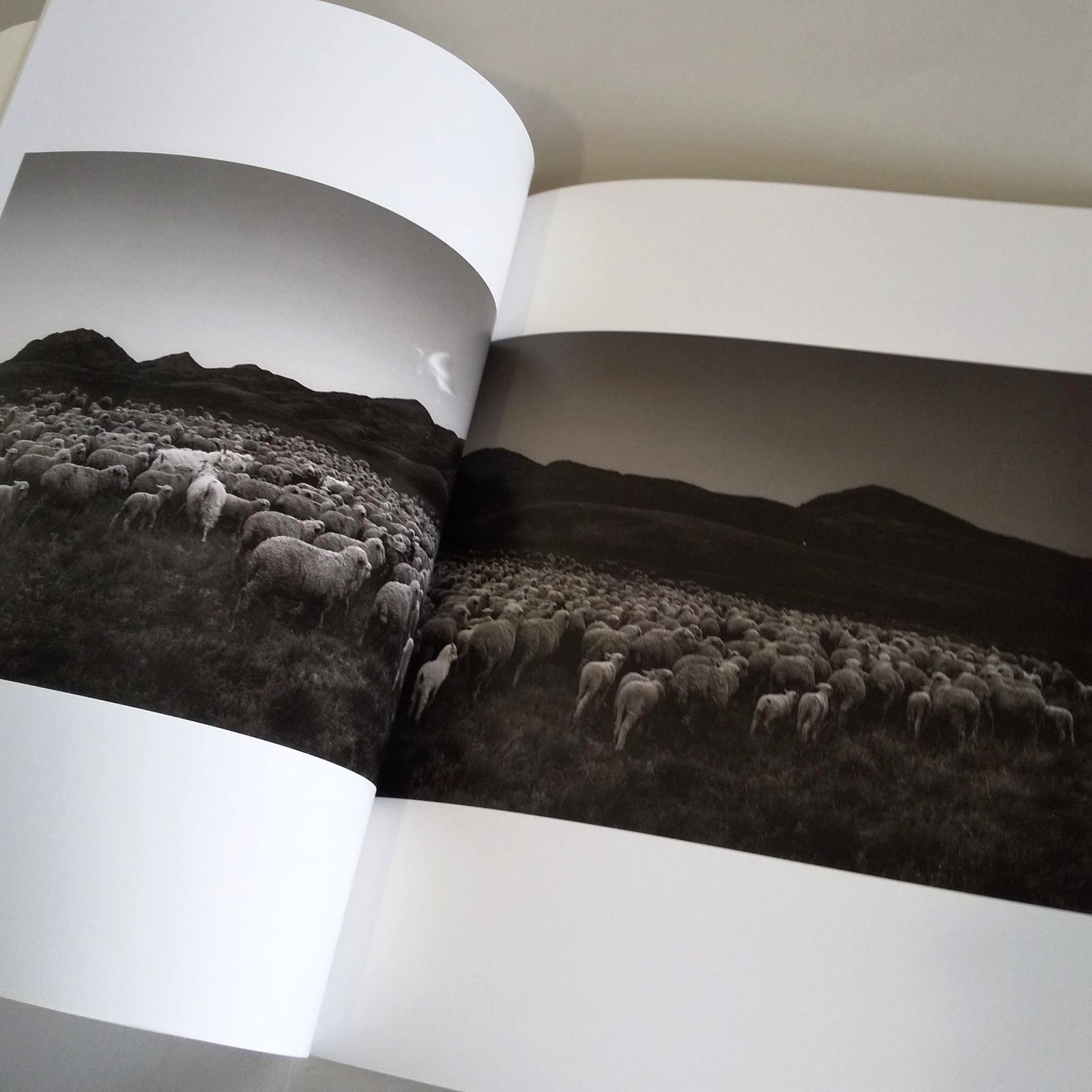 PENTTI SAMMALLAHTI 　図録　写真集　展覧会　ポストカード8枚付 展覧会図録：PENTTI SAMMALLAHTI - メルカリ