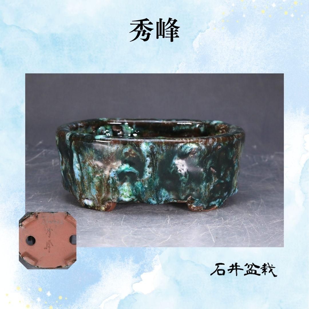 石井盆栽 秀峰 作 緑 盆栽鉢 p-073