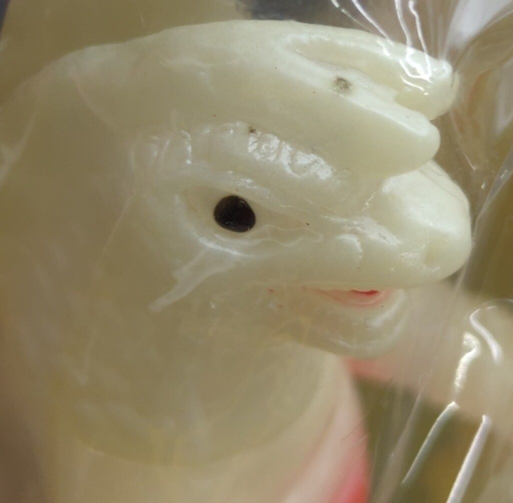 蓄光成型