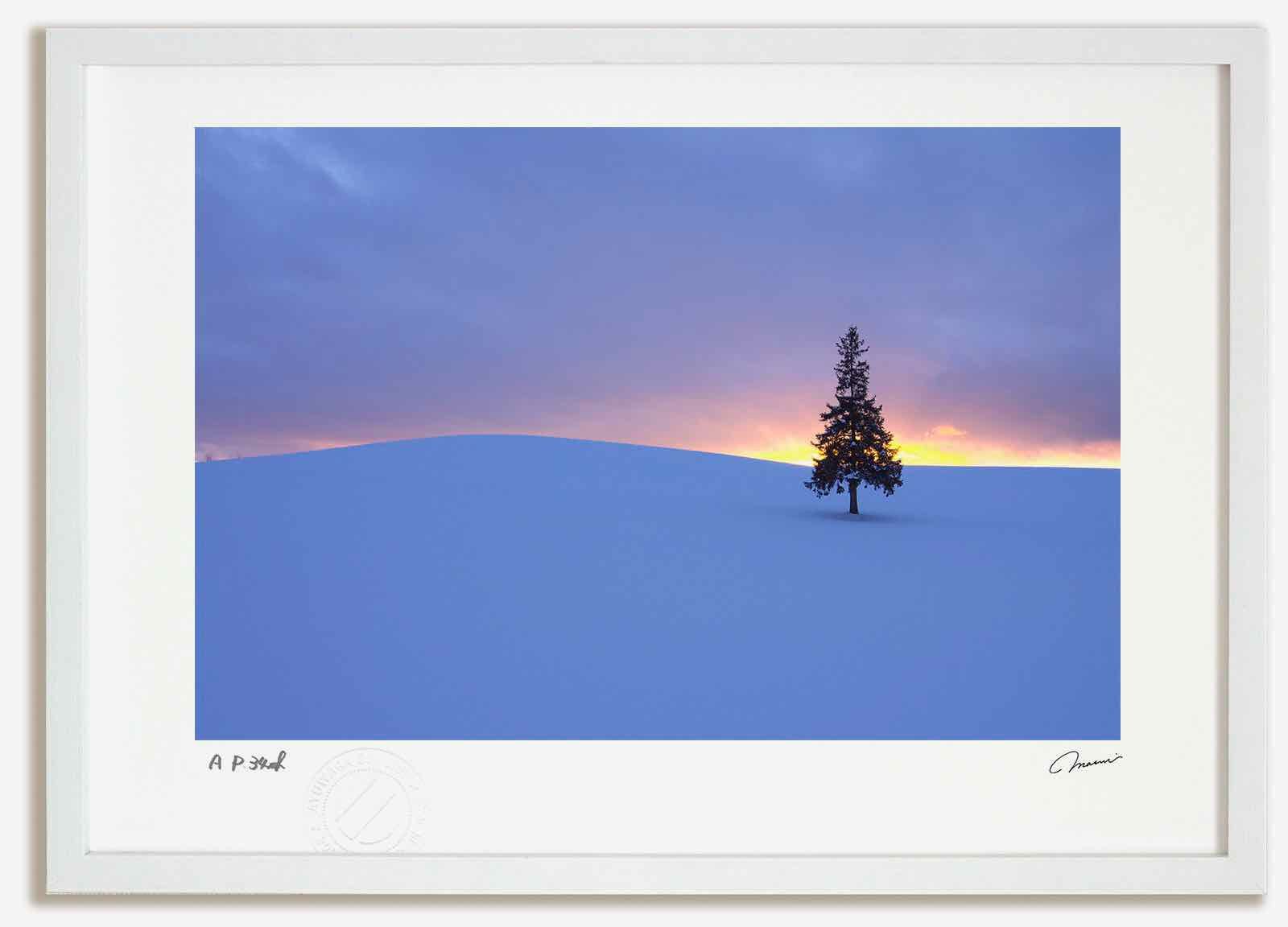 アートフォト 絵画 ツリーの木の夕日3 高橋真澄|インテリア 額入り 額装込 風景画 油絵 ポスター アート アートパネル リビング 玄関 プレゼント モダン アートフレーム 飾る Mサイズ おしゃれ 壁掛け 絵