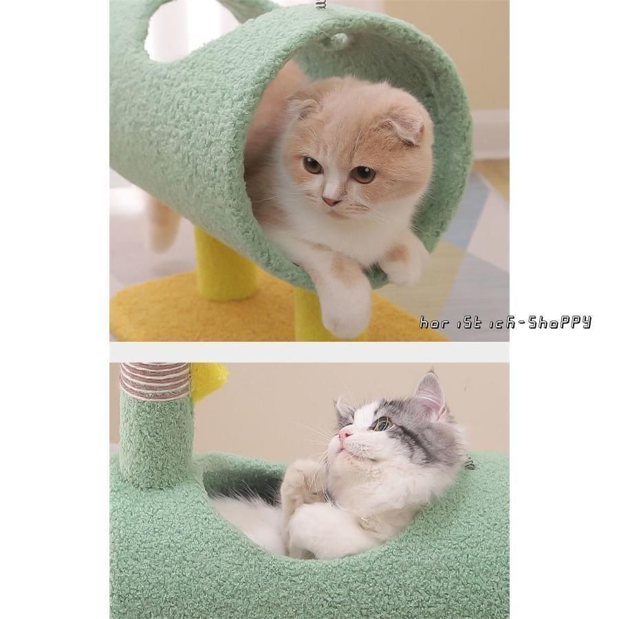 アヒル