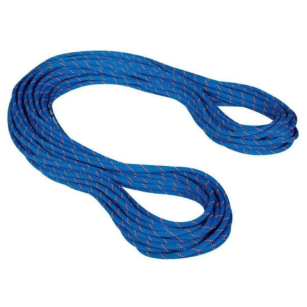 お取り寄せ ２～４週間で発送 マムート クラッグ ドライ 9.5mm ロープ Dry Standard. Blue | Ocean t MAMMUT Crag Dry 9.5 mm t