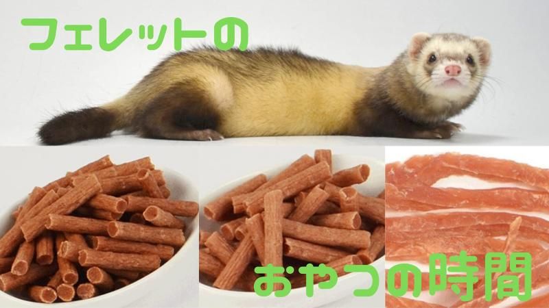 人気新品入荷 おやつ フェレット セット ささみスティック50g (旨いたち フード・おやつ