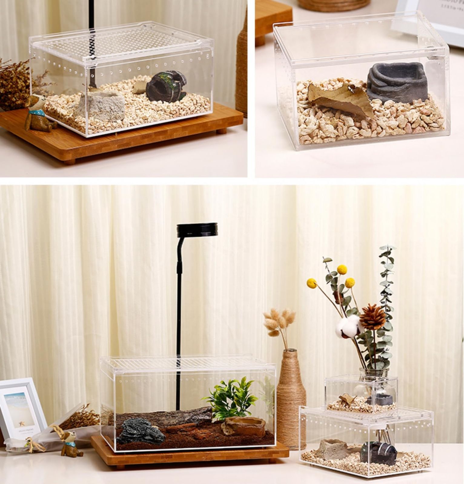 【最終値下げ】ともえ屋　爬虫類　シェルター　水入れ　セット 爬虫類用造形アート ともえ屋