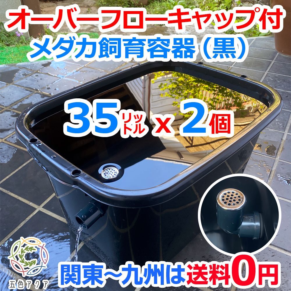 新タイプ】五色アクア メダカ飼育ケース 35㍑黒x2個 オーバーフロー
