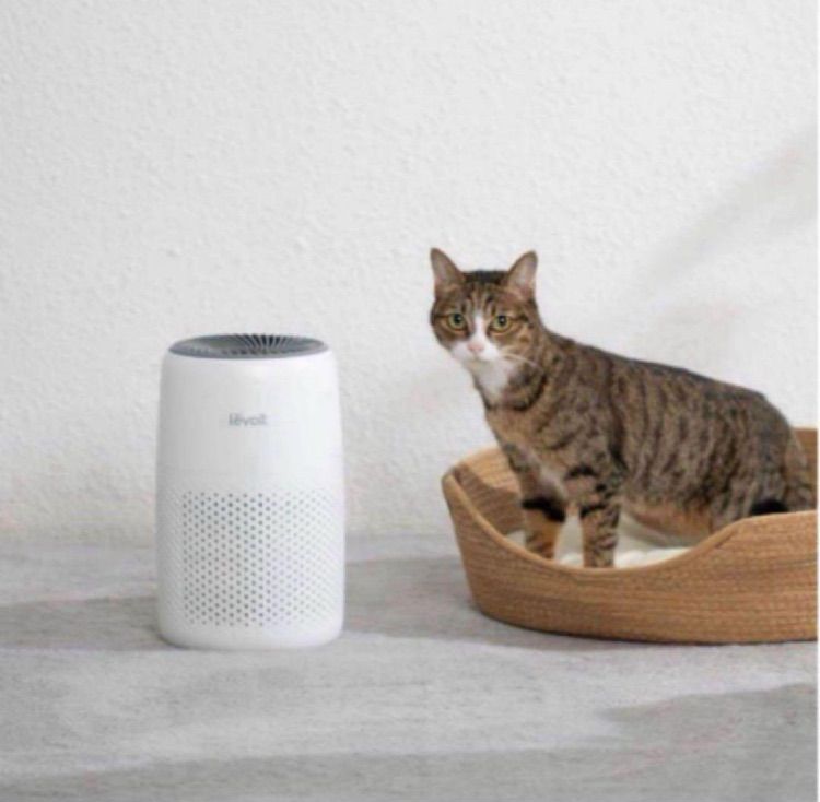 新品】Levoit レボイト スマートプラズマ空気清浄機(送料無料) 節電
